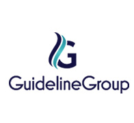 web designing client guideline logo