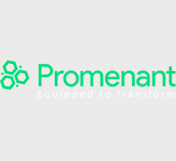 web designing client promenant logo